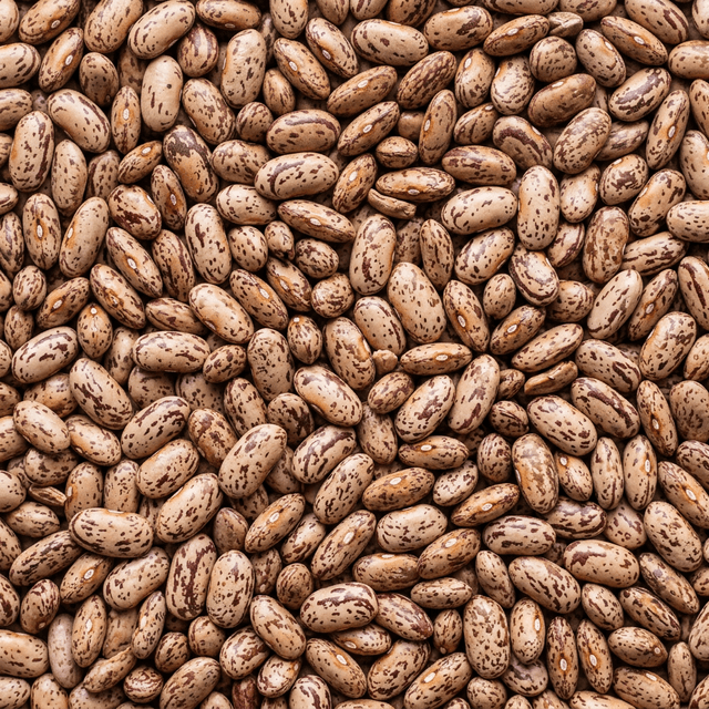Pinto Beans